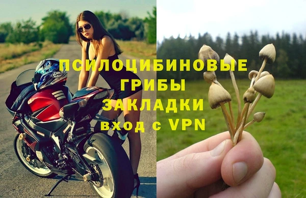 ALPHA PVP Верея