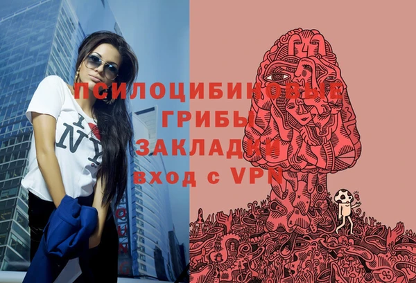 дурь Верхний Тагил