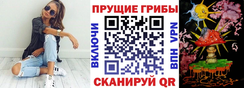 Купить где  Таруса  Псилоцибиновые грибы Cubensis 